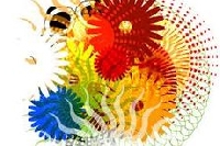 ILLUSTRATOR